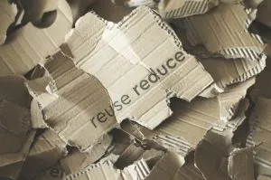 Cardboard box in pieces