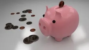 Coins around a piggy bank.