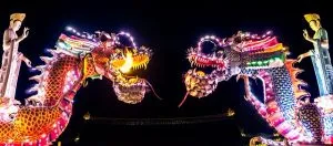 Decorative chinese dragons.
