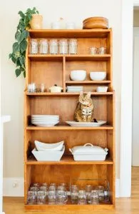 cat on shelf