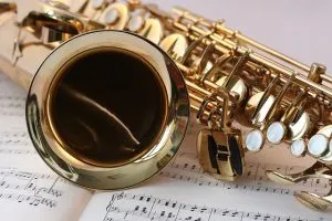 saxophone is only one of the many instruments that you are packing musical instruments