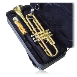 instrument case will help with Packing musical instruments