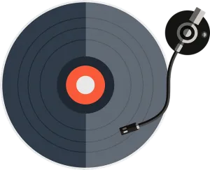 Vinyl disk