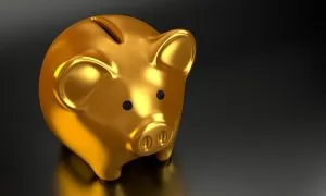 -a golden piggy bank - make a combined budget when combining two households