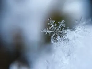 There are several good reasons to move during winter