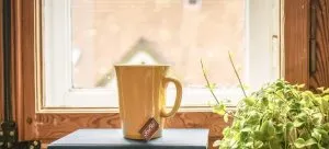 window