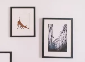 pictures on the wall