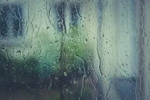 Picture of rain on a window