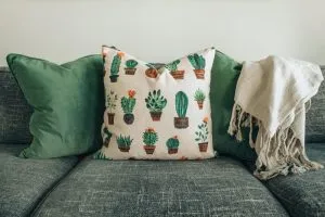 Picture of cushions on a couch