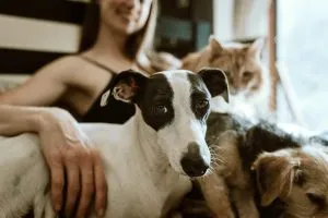 A woman with pets
