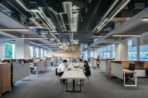people in the office
