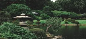 Trees and a gazebo near water