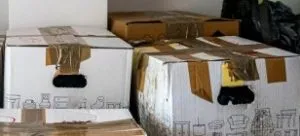 A lot of large boxes are ready for transport