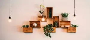 shelves with decorations