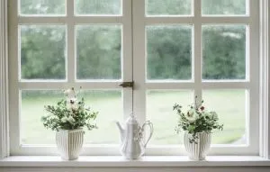 a window with flowers - protect a vacant home in Hong Kong after moving out