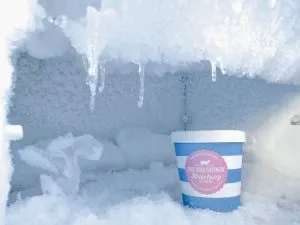 ice cream in the freezer