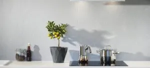 Two kitchen appliances on the stove