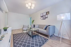 gray sofa