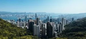Skyscrapers surrounded by woods