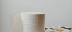 a roll of toilet paper on the box