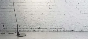 Wall with black mold at the bottom