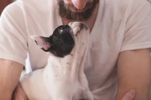 a man hugging a pet and planning on Bringing Pets to Hong Kong from the USA