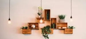 shelves mounted on a wall