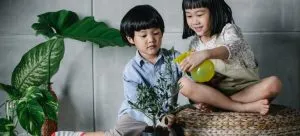 Children watering plants after a long distance move