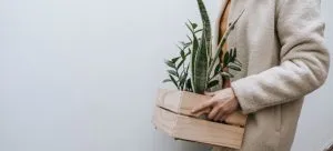 A girl moving house plant long distance