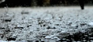 Protect floors and carpets when moving house in bad weather by regularly checking weather.