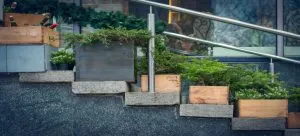 Plants growing out of wooden boxes