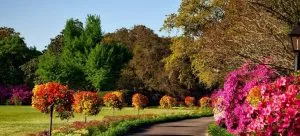 A park.